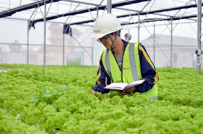 Thúc đẩy phát triển khởi nghiệp xanh