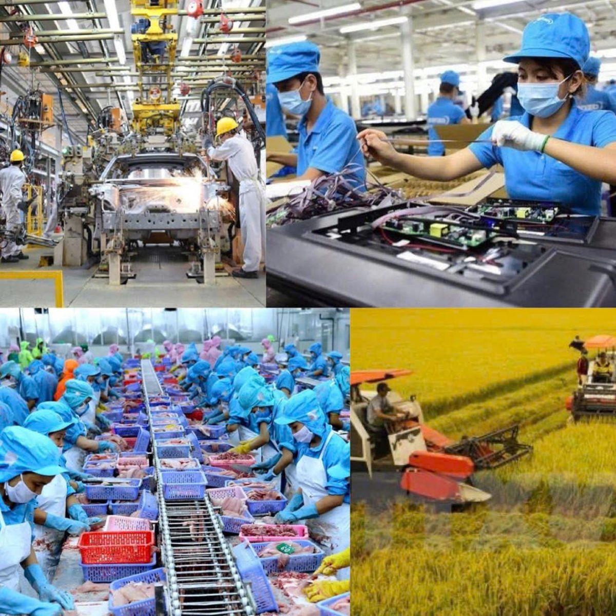 Kế hoạch hành động của Chính phủ về phát triển kinh tế tư nhân